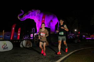 BIB: 
                            <button type="button" onclick="openModal(26534569)" class="btn btn-primary btn-sm float-right btn-popup" data-toggle="modal" data-target=".modal-high-quality">
                        <i class="fas fa-shopping-cart"></i> Add to Cart
                    </button>
                                            <button type="button" onclick="isThisMe(26534569, true)" class="btn btn-success btn-sm float-right btn-popup btn-isme hidden" data-toggle="tooltip" data-placement="bottom" title="นี่คือรูปของคุณใช่ไหม คลิกที่นี่เพื่อเอาเข้าอัลบั้ม">
                        <i class="fas fa-plus"></i> Add to album
                    </button>
                    <button type="button" onclick="isThisMe(26534569, false)" class="btn btn-warning btn-sm float-right btn-popup btn-isnotme hidden">
                        <i class="fas fa-ban"></i> Remove from album
                    </button>